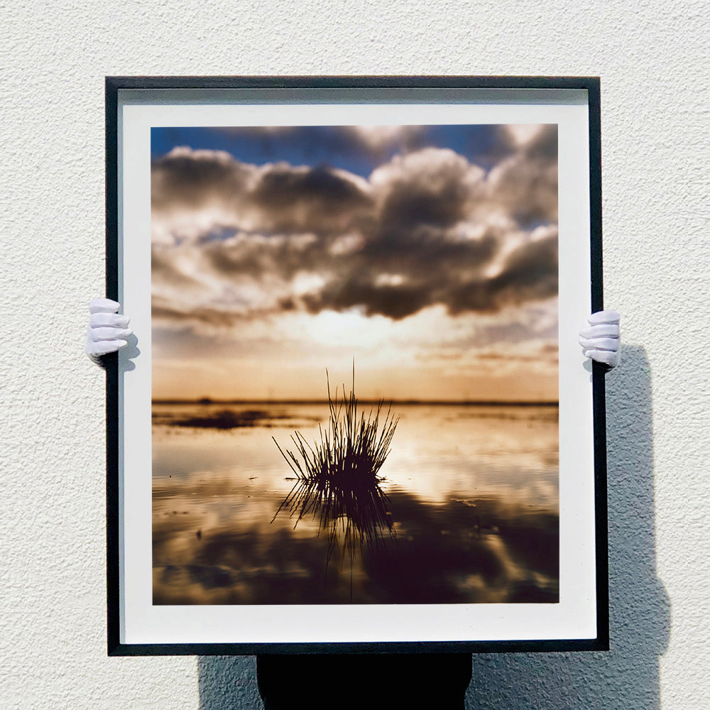 Photograph held by photographer Richard Heeps. A tussock of grass sits at dusk in fenland water. It is siting under a black and white cloud formation with a golden dusk hue.