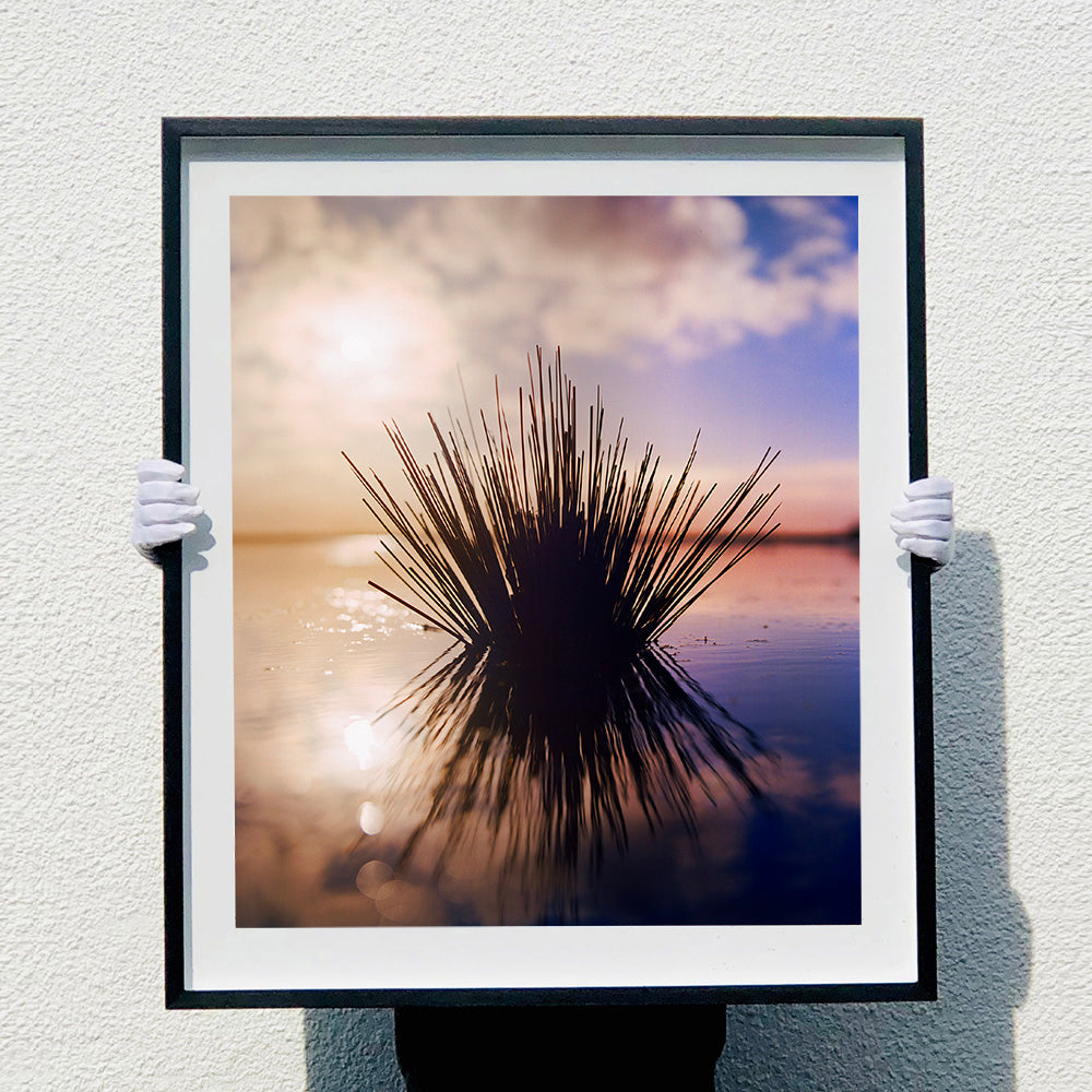 Black framed photograph held by photographer Richard Heeps. A tussock of grass sits at dusk in fenland water. It is bathed in a golden dusk light.