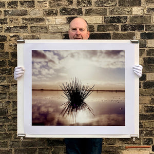 Photograph held by photographer Richard Heeps. A tussock is central to this photograph, black and reflected black into the fenland water below. The sky behind is dusky and atmospheric.