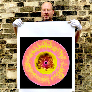 Three Piece Vinyl Collection Print Only
