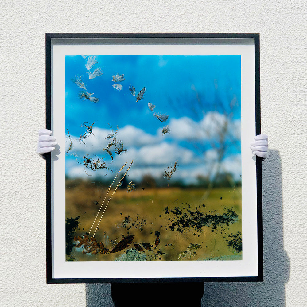 Black framed photograph held by photographer Richard Heeps. Feathers, leaves, sticks and other fenland debris appears at the front of this photograph with a hazy blue fenland sky and scene blurred behind.