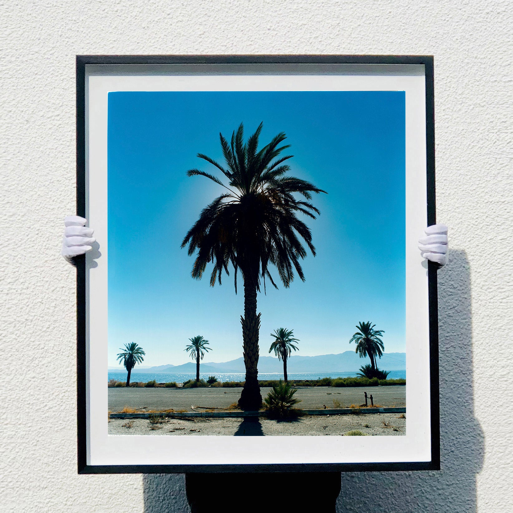 Palm tree silhouette against a bright blue California sky Salton Sea large black frame photograph by Richard Heeps.