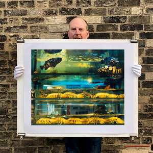 Photograph held by photographer Richard Heeps. Wet market fish tank filled with blue green and yellow fish, in a Hong Kong street.