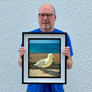 The Queens Seagull, Brighton, 2025