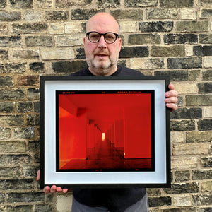 Red Dinosaur II, Milan, 2020