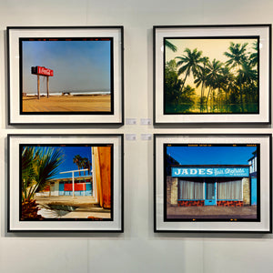 Vetyver Pool, Poovar, Kerala, 2013