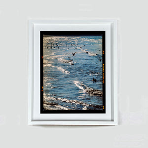 Sea and Gulls, Brighton, 2025