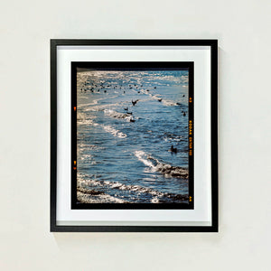Sea and Gulls, Brighton, 2025
