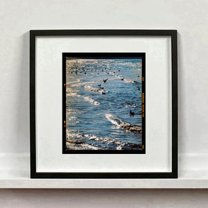 Sea and Gulls, Brighton, 2025