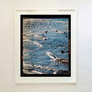 Sea and Gulls, Brighton, 2025