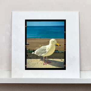 The Queens Seagull, Brighton, 2025