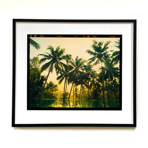 Vetyver Pool, Poovar, Kerala, 2013