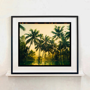 Vetyver Pool, Poovar, Kerala, 2013