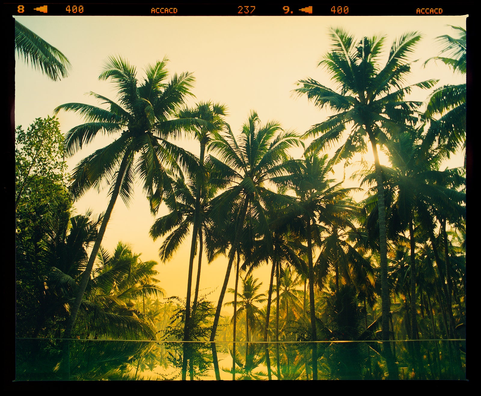 Vetyver Pool, Poovar, Kerala, 2013