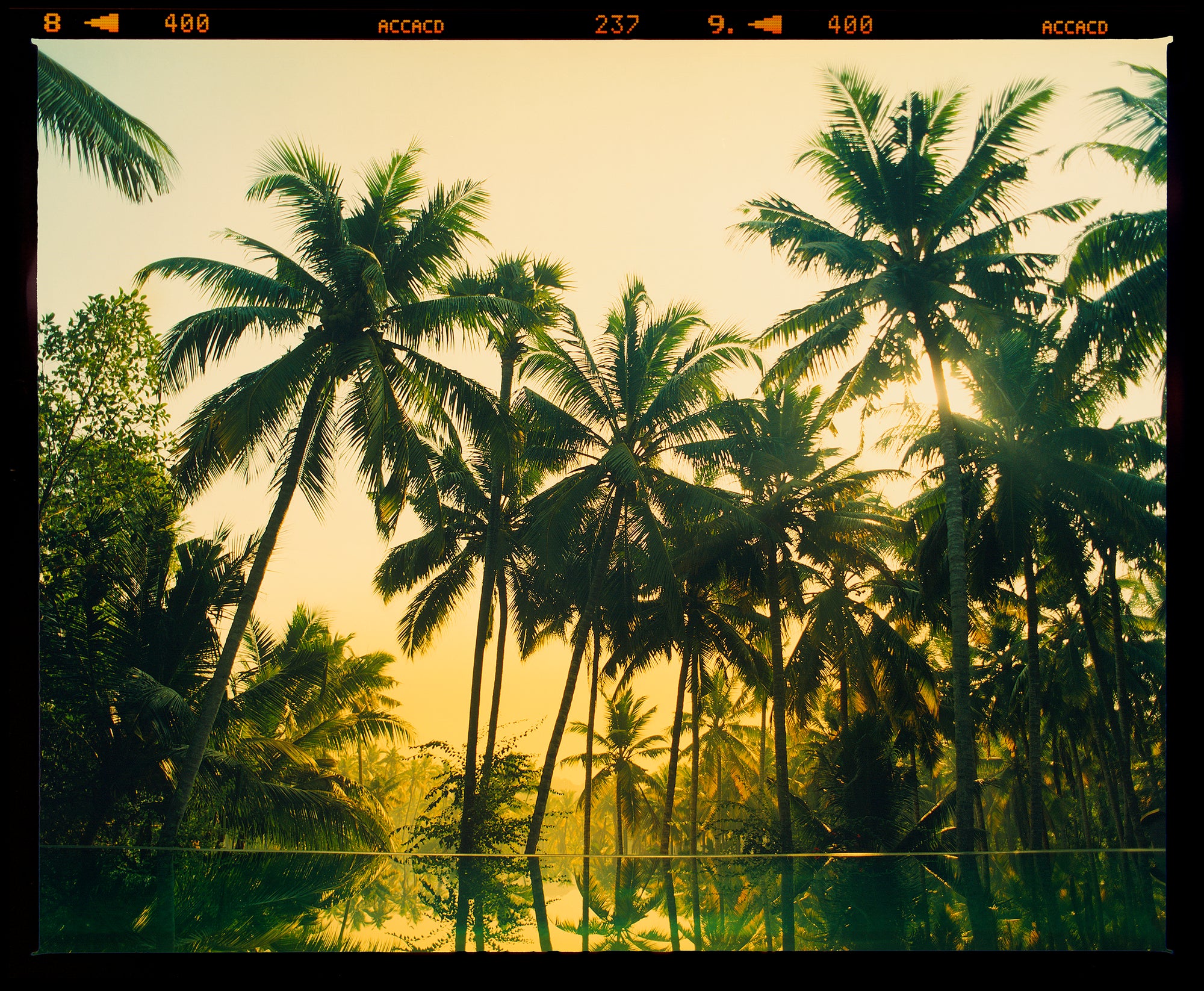 Vetyver Pool, Poovar, Kerala, 2013