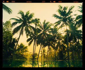 Vetyver Pool, Poovar, Kerala, 2013