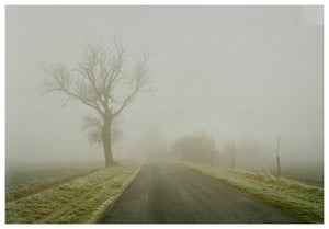 Photograph by Richard Heeps.  A foggy scene in Orwell, a leafless tree sits beside an empty road.