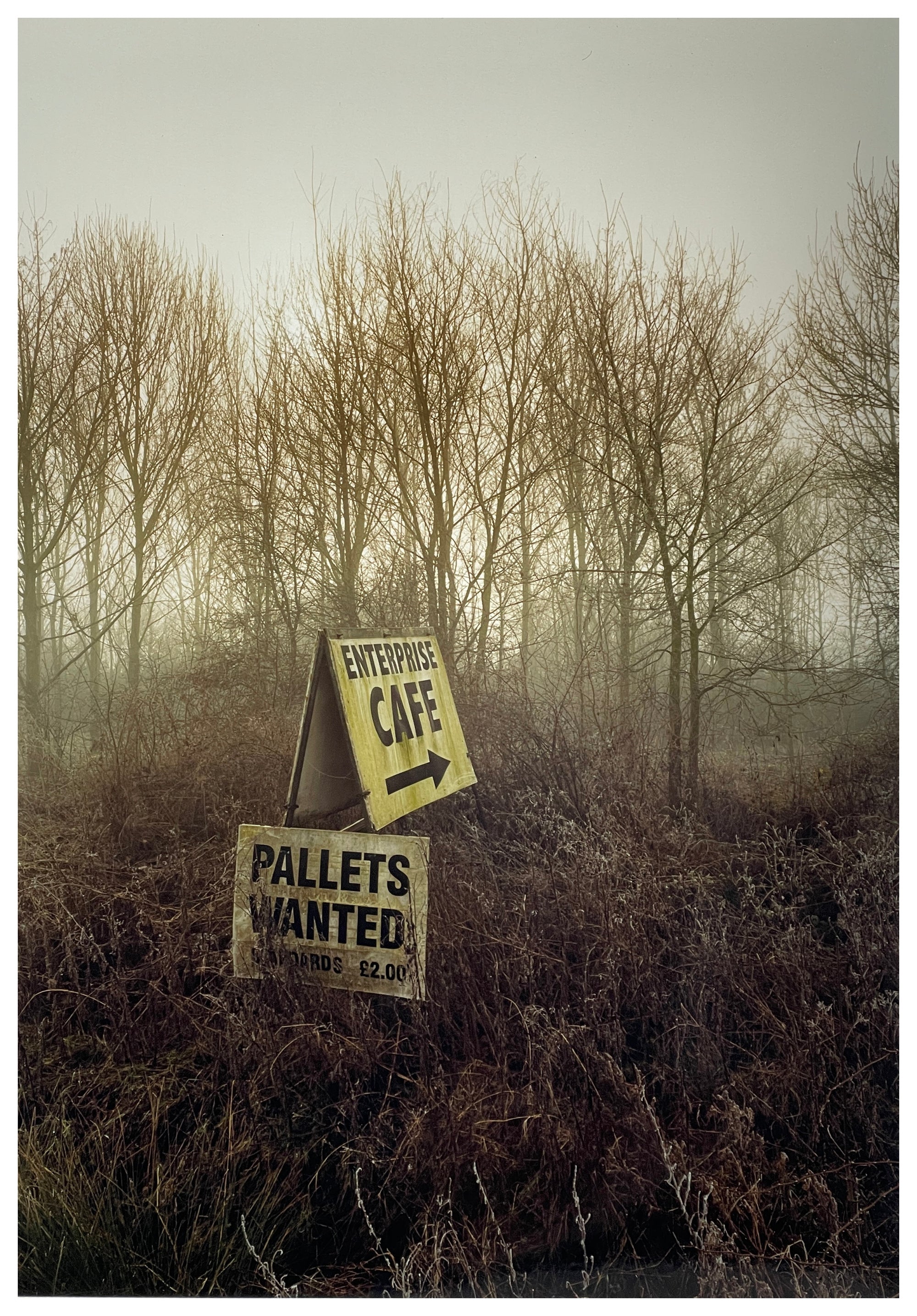 Photograph by Richard Heeps.  A roadside sign for The Enterprise Cafe and Pallets Wanted sit in brown shrub with wintry trees and sky in the background.