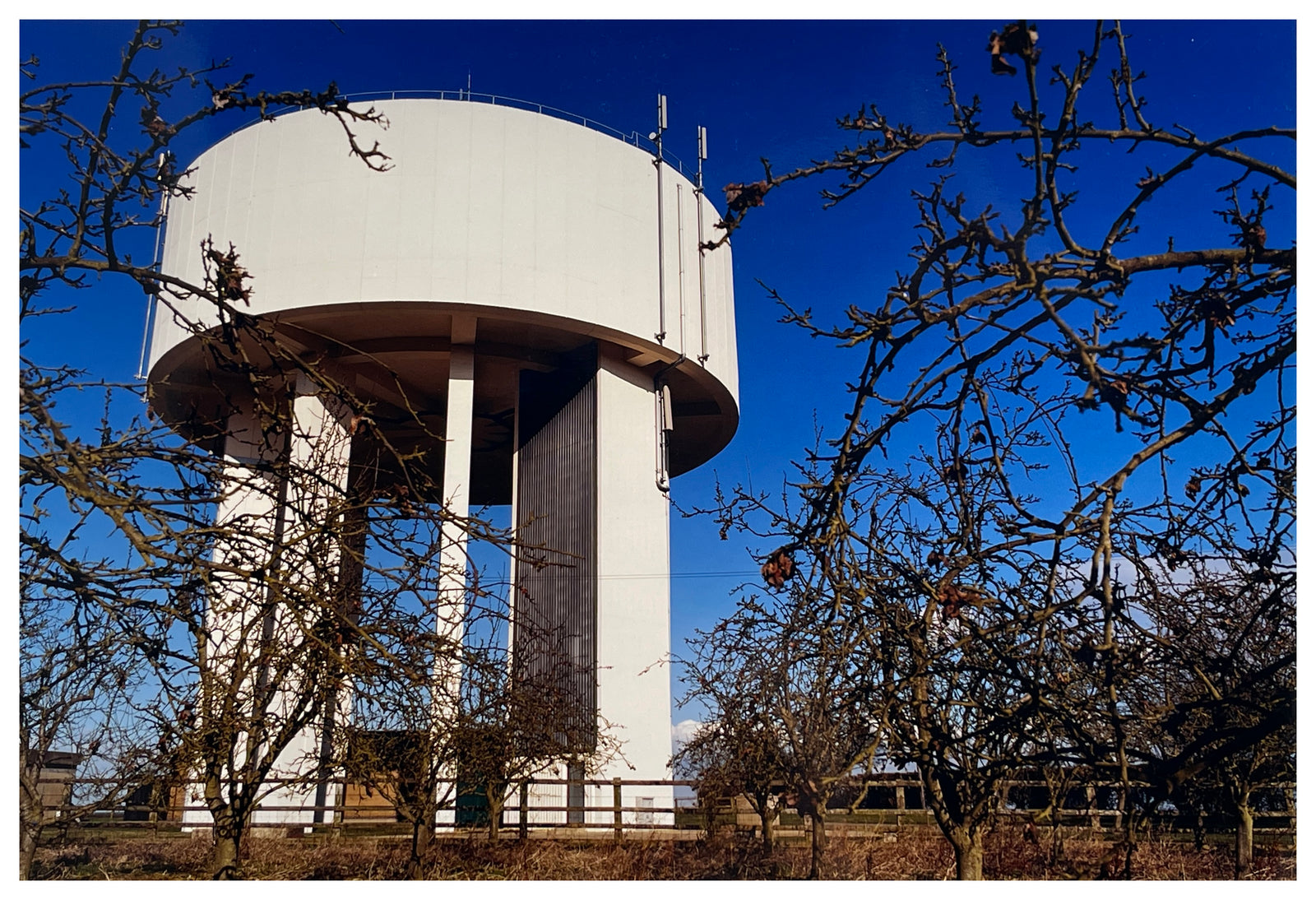 Photograph by Richard Heeps.  White water tower framed by winter trees set against a deep blue sky.