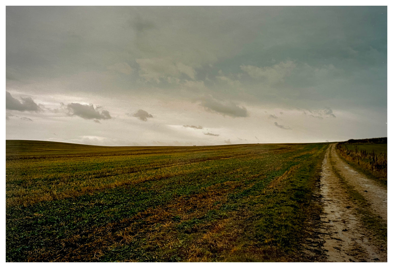 Photograph by Richard Heeps.  A cloudy sky and a field, with a rough track leading into the distance on the right hand side of the field.