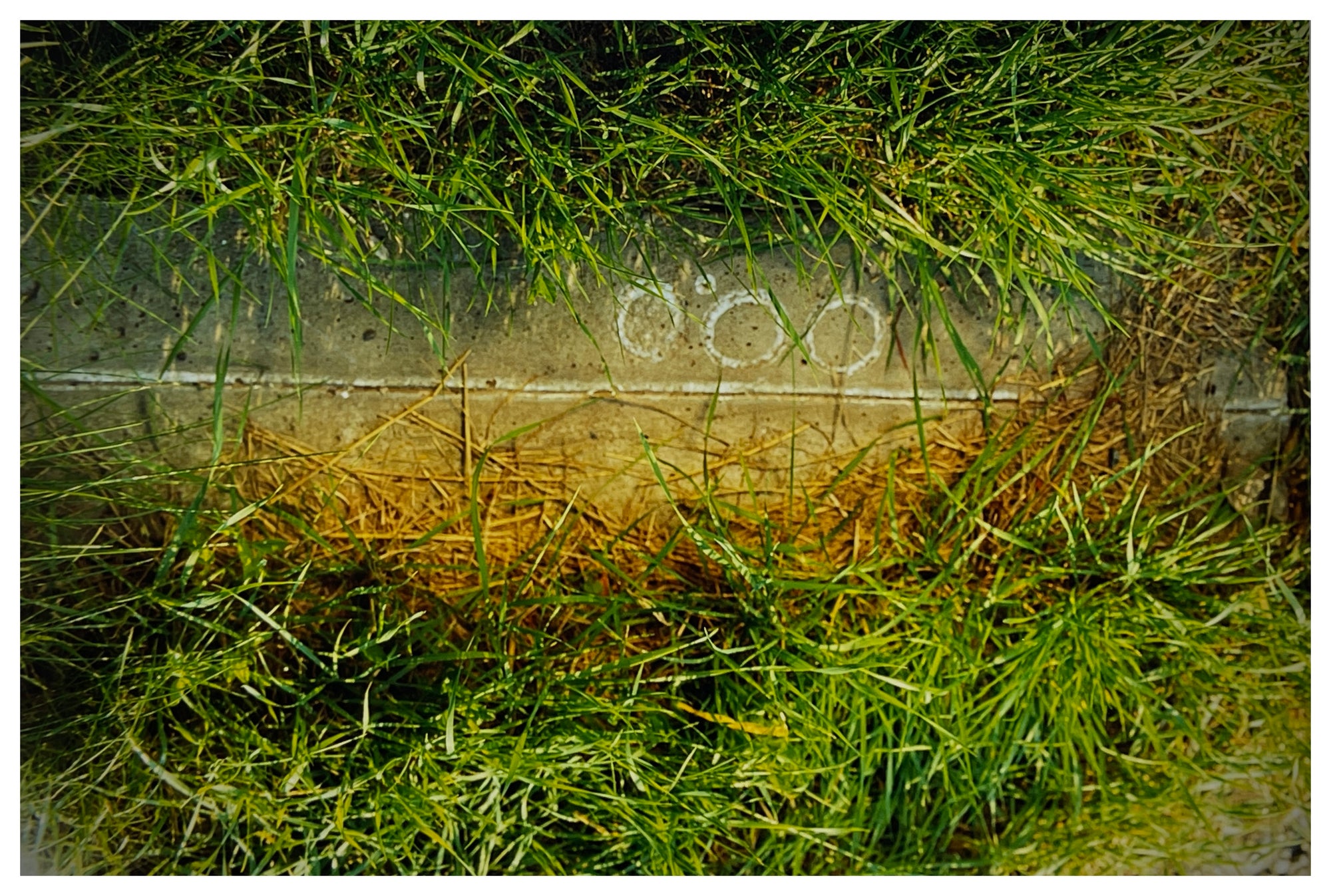 Photograph by Richard Heeps.  Meridian line marked above in chalk as 0°00, surrounded by grass.