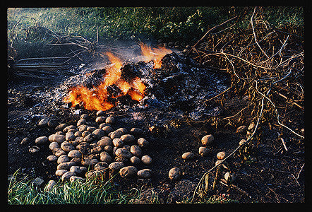 Burning Potatoes, Fen Road, Cambridge 1993