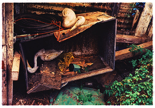 Storks, Tydd St. Giles, Wisbech, 1993