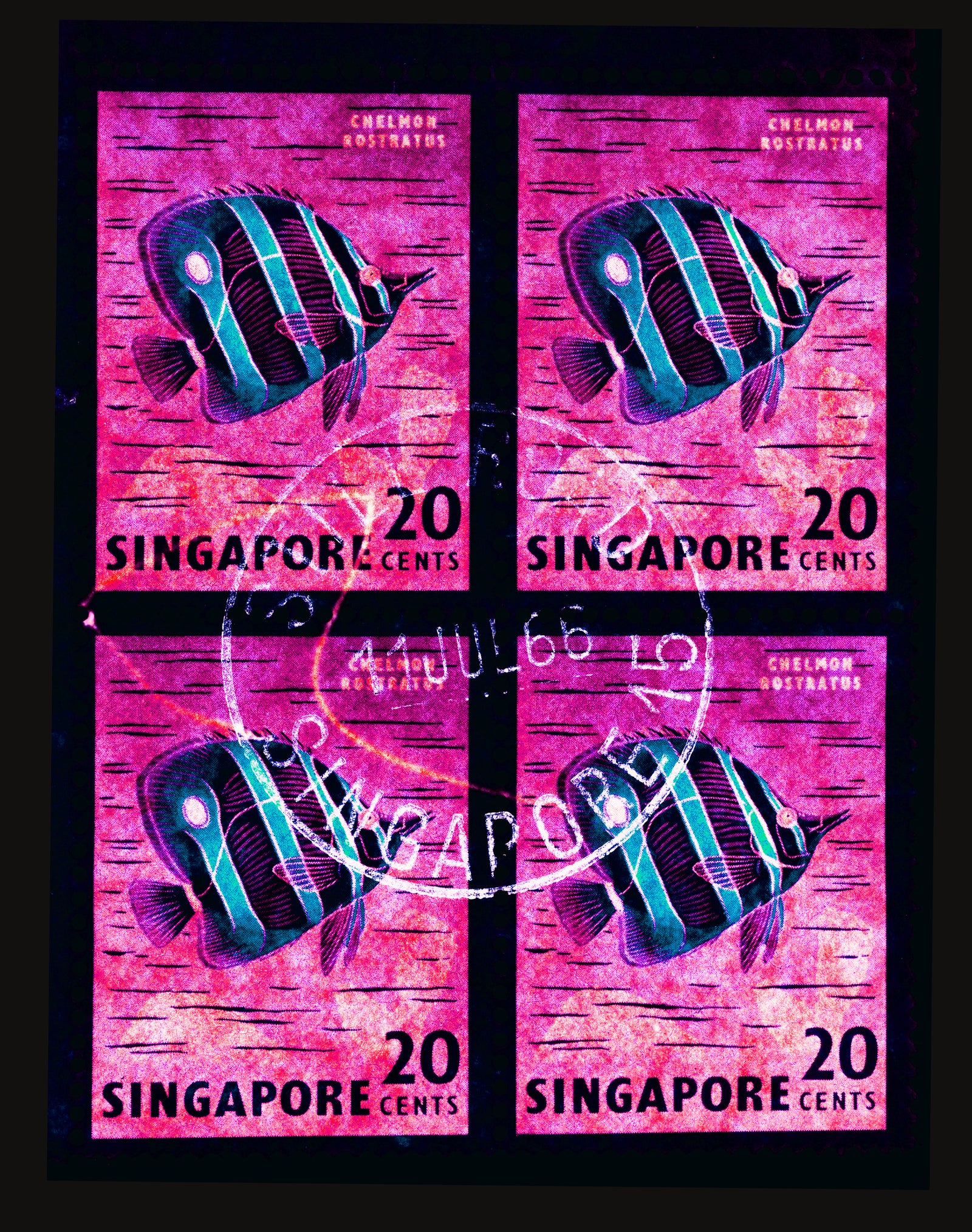 Singapore Stamp Collection '20 Cents Singapore Butterfly Fish' (Hot Pink). These historic postage stamps that make up the Heidler & Heeps Stamp Collection, Singapore Series 'Postcards from Afar' have been given a twenty-first century pop art lease of life. The fine detailed tapestry of the original small postage stamp has been brought to life, made unique by the franking stamp and Heidler & Heeps specialist darkroom process.
