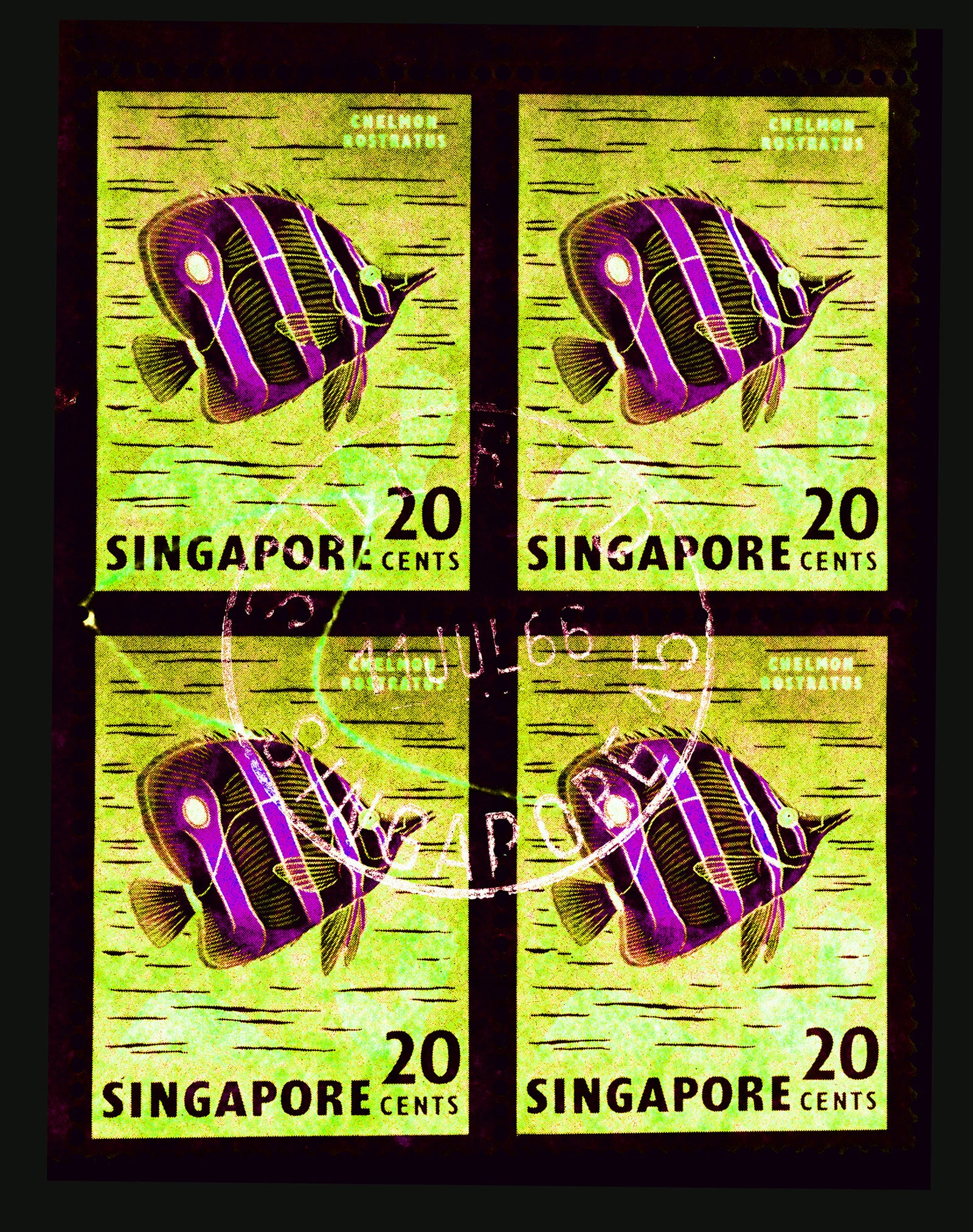 Singapore Stamp Collection '20 Cents Singapore Butterfly Fish' (Neon). These historic postage stamps that make up the Heidler & Heeps Stamp Collection, Singapore Series “Postcards from Afar” have been given a twenty-first century pop art lease of life. The fine detailed tapestry of the original small postage stamp has been brought to life, made unique by the franking stamp and Heidler & Heeps specialist darkroom process.