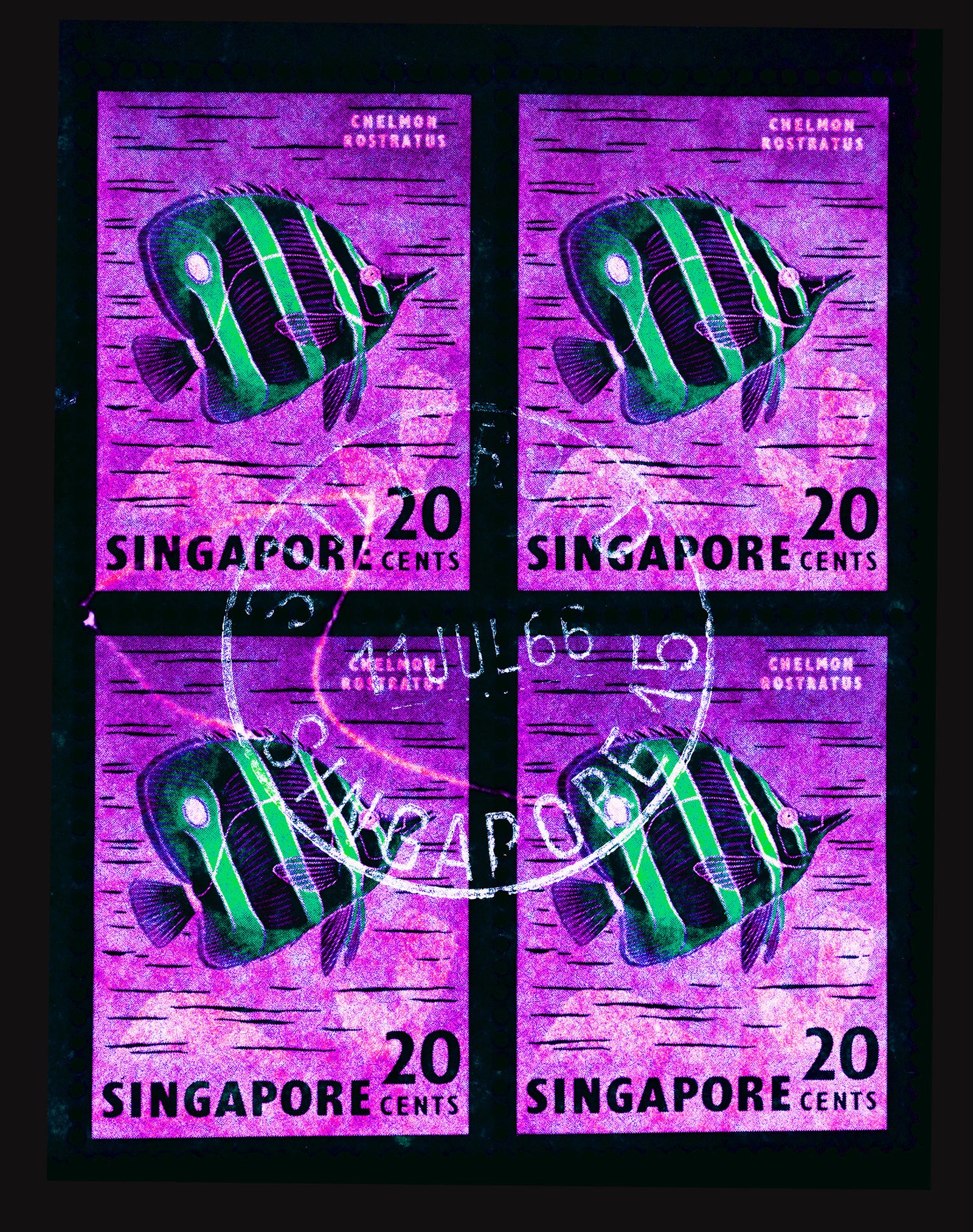 Singapore Stamp Collection '20 Cents Singapore Butterfly Fish' (Purple). These historic postage stamps that make up the Heidler & Heeps Stamp Collection, Singapore Series 'Postcards from Afar' have been given a twenty-first century pop art lease of life. The fine detailed tapestry of the original small postage stamp has been brought to life, made unique by the franking stamp and Heidler & Heeps specialist darkroom process.
