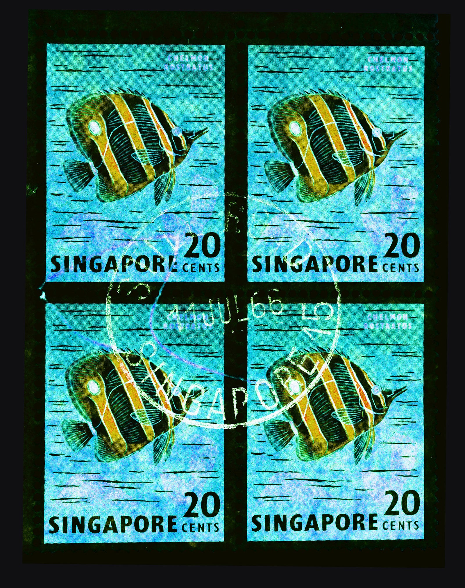 20 Cents Singapore Butterfly Fish (Turquoise). These historic postage stamps that make up the Heidler & Heeps Stamp Collection, Singapore Series “Postcards from Afar” have been given a twenty-first century pop art lease of life. The fine detailed tapestry of the original small postage stamp has been brought to life, made unique by the franking stamp and Heidler & Heeps specialist darkroom process.