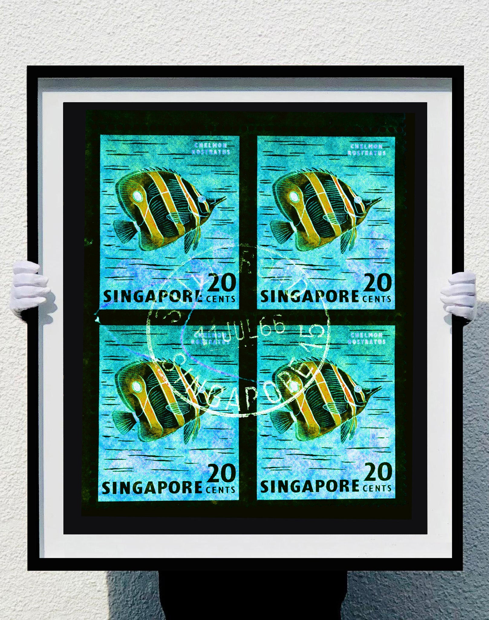 20 Cents Singapore Butterfly Fish (Turquoise). These historic postage stamps that make up the Heidler & Heeps Stamp Collection, Singapore Series “Postcards from Afar” have been given a twenty-first century pop art lease of life. The fine detailed tapestry of the original small postage stamp has been brought to life, made unique by the franking stamp and Heidler & Heeps specialist darkroom process.