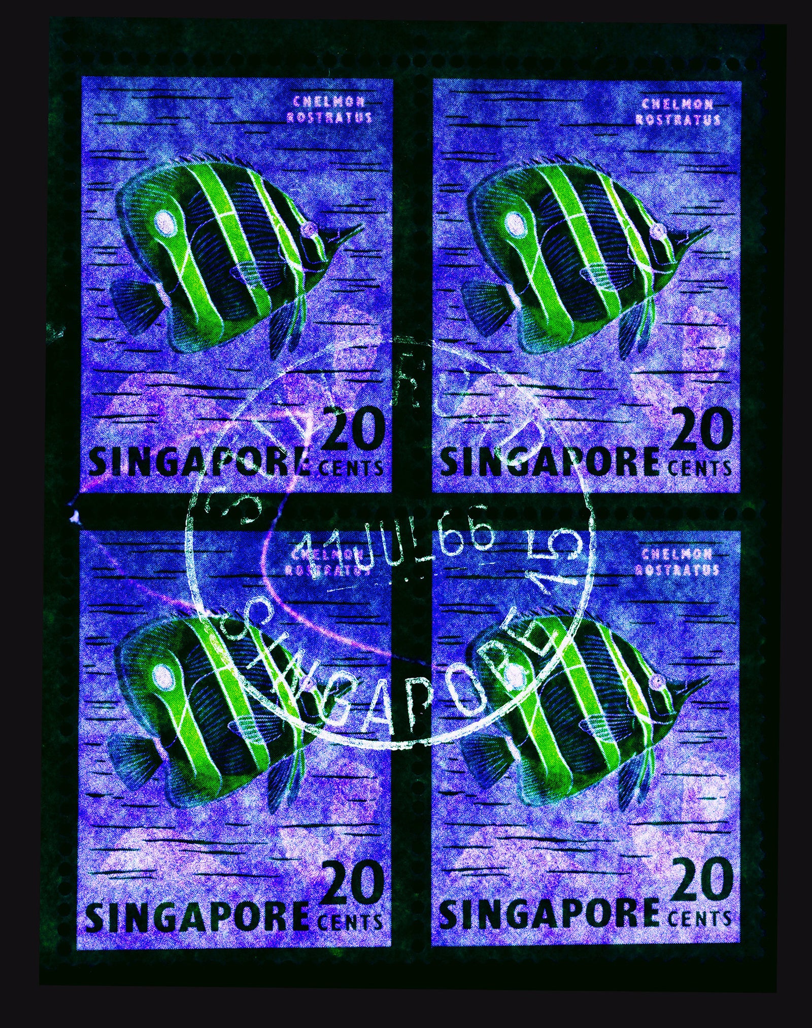 20 Cents Singapore Butterfly Fish (Gold). These historic postage stamps that make up the Heidler & Heeps Stamp Collection, Singapore Series “Postcards from Afar” have been given a twenty-first century pop art lease of life. The fine detailed tapestry of the original small postage stamp has been brought to life, made unique by the franking stamp and Heidler & Heeps specialist darkroom process.