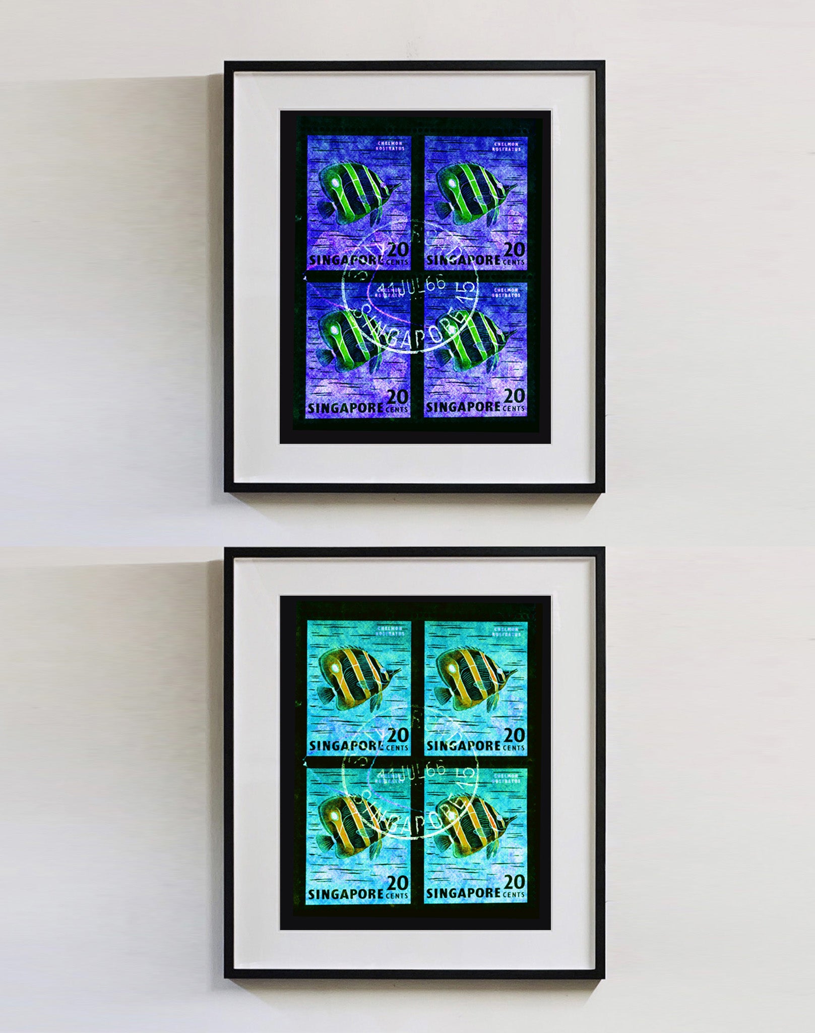 20 Cents Singapore Butterfly Fish (Gold). These historic postage stamps that make up the Heidler & Heeps Stamp Collection, Singapore Series “Postcards from Afar” have been given a twenty-first century pop art lease of life. The fine detailed tapestry of the original small postage stamp has been brought to life, made unique by the franking stamp and Heidler & Heeps specialist darkroom process.