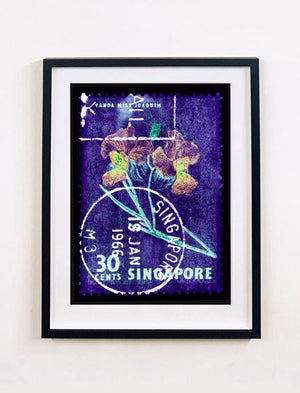 Singapore Stamp Collection '30 Cents Singapore Orchid Purple'. These historic postage stamps that make up the Heidler & Heeps Stamp Collection, Singapore Series 'Postcards from Afar' have been given a twenty-first century pop art lease of life. The fine detailed tapestry of the original small postage stamp has been brought to life, made unique by the franking stamp and Heidler & Heeps specialist darkroom process.