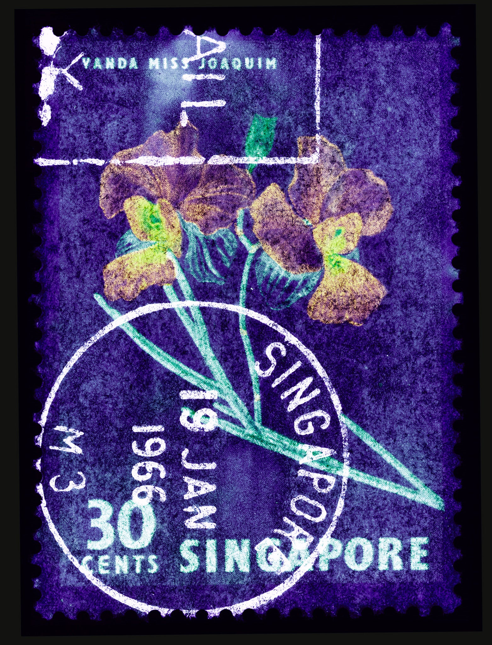 Singapore Stamp Collection '30 Cents Singapore Orchid Purple'. These historic postage stamps that make up the Heidler & Heeps Stamp Collection, Singapore Series 'Postcards from Afar' have been given a twenty-first century pop art lease of life. The fine detailed tapestry of the original small postage stamp has been brought to life, made unique by the franking stamp and Heidler & Heeps specialist darkroom process.