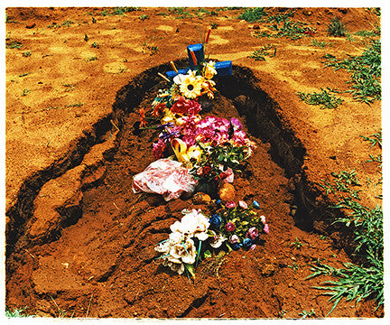 Laid Flowers, Parys, 2009