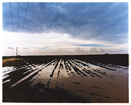 Water Logged Field II, near Bothaville, 2009