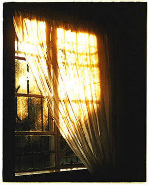 The New Lantern Unknown 75