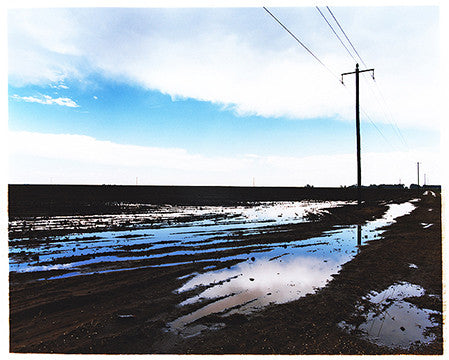 Waterlogged Field I, Near Bothaville, 2009