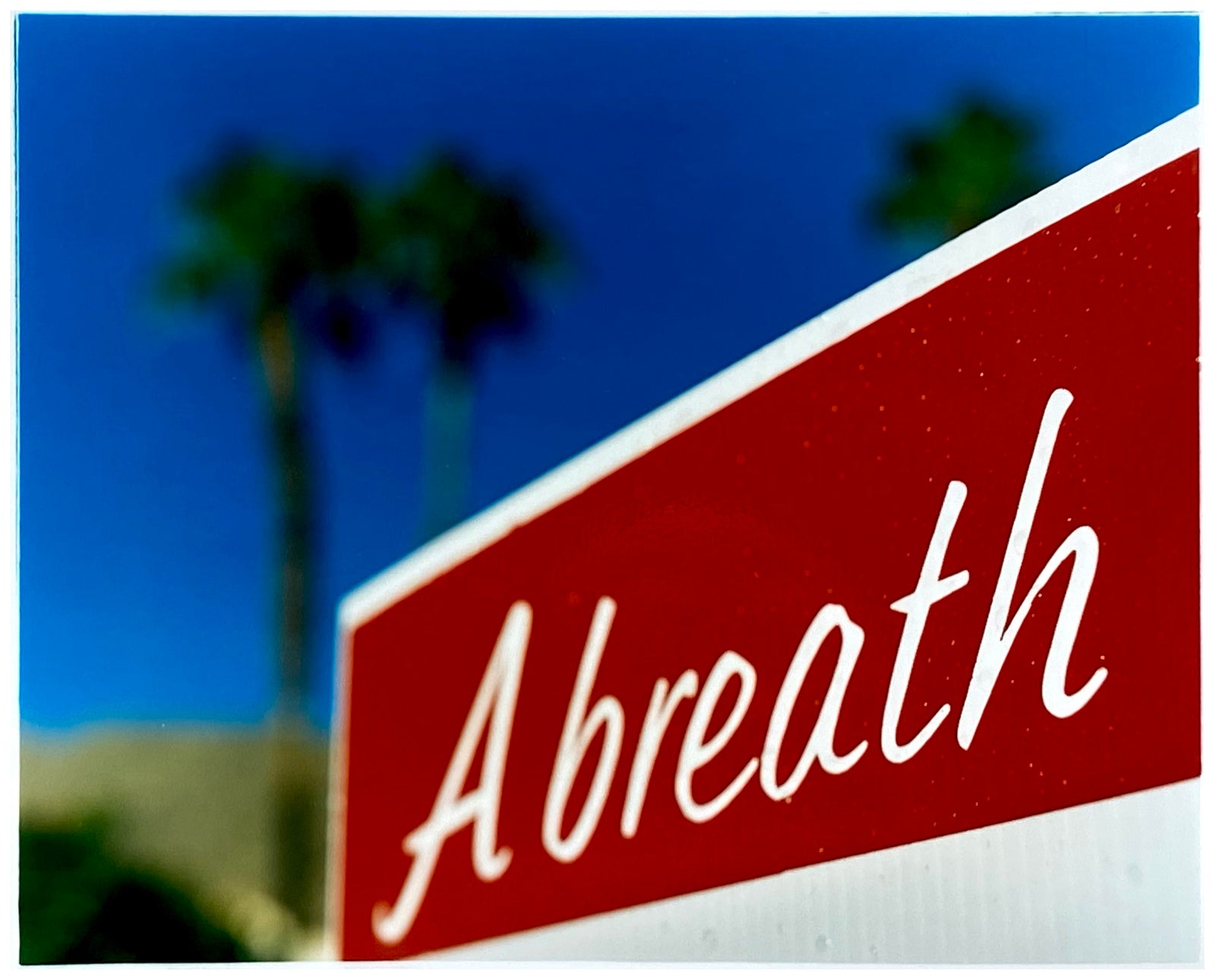 This artwork breathes life through its bold colours and energetic text, which is set against a luscious landscape. It was captured in Palm Springs, California and is part of Richard Heeps' 'Dream in Colour' series.