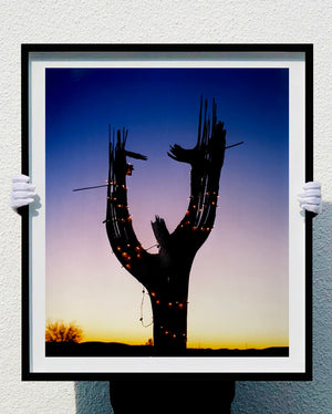 The silhouette of a large scale cactus, dressed in twinkle lights, set against an ombre twilight sky. Photographed by Richard Heeps in the Arizona desert, for his 'Dream in Colour' series.
