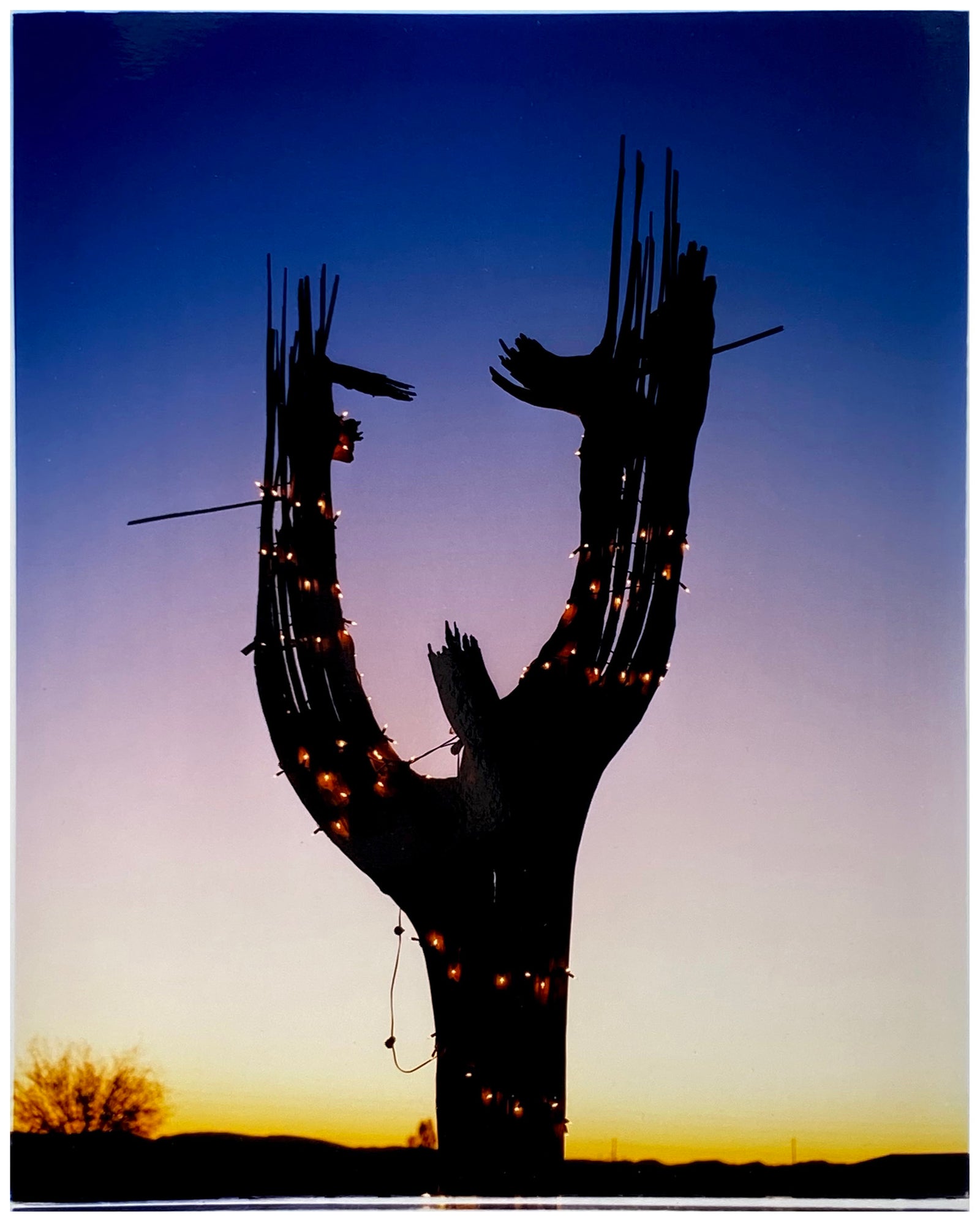 The silhouette of a large scale cactus, dressed in twinkle lights, set against an ombre twilight sky. Photographed by Richard Heeps in the Arizona desert, for his 'Dream in Colour' series.