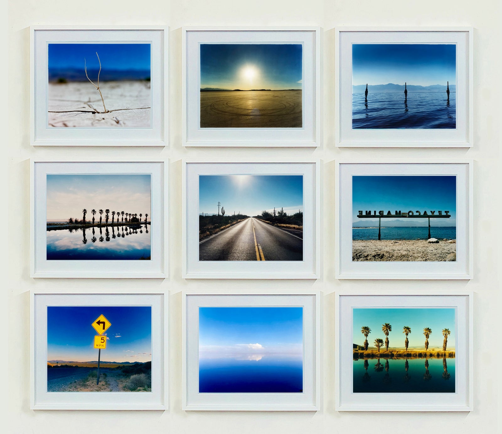 Dream in Colour Desert Installation