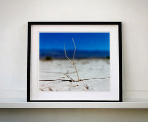 'Florescence', from Richard Heeps' 'Dream in Colour' series was photographed in Panamint Valley, Death Valley National Park, California. This minimal landscape photograph uses a shallow depth of field emphasises a lone twig, a small sign of life, against a deep blue sky background.