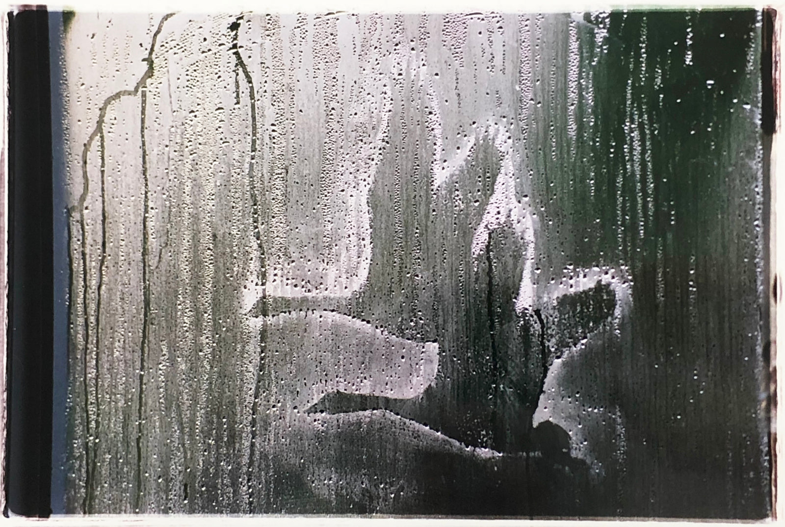 Geese - Welney Wetlands Trust, 1993