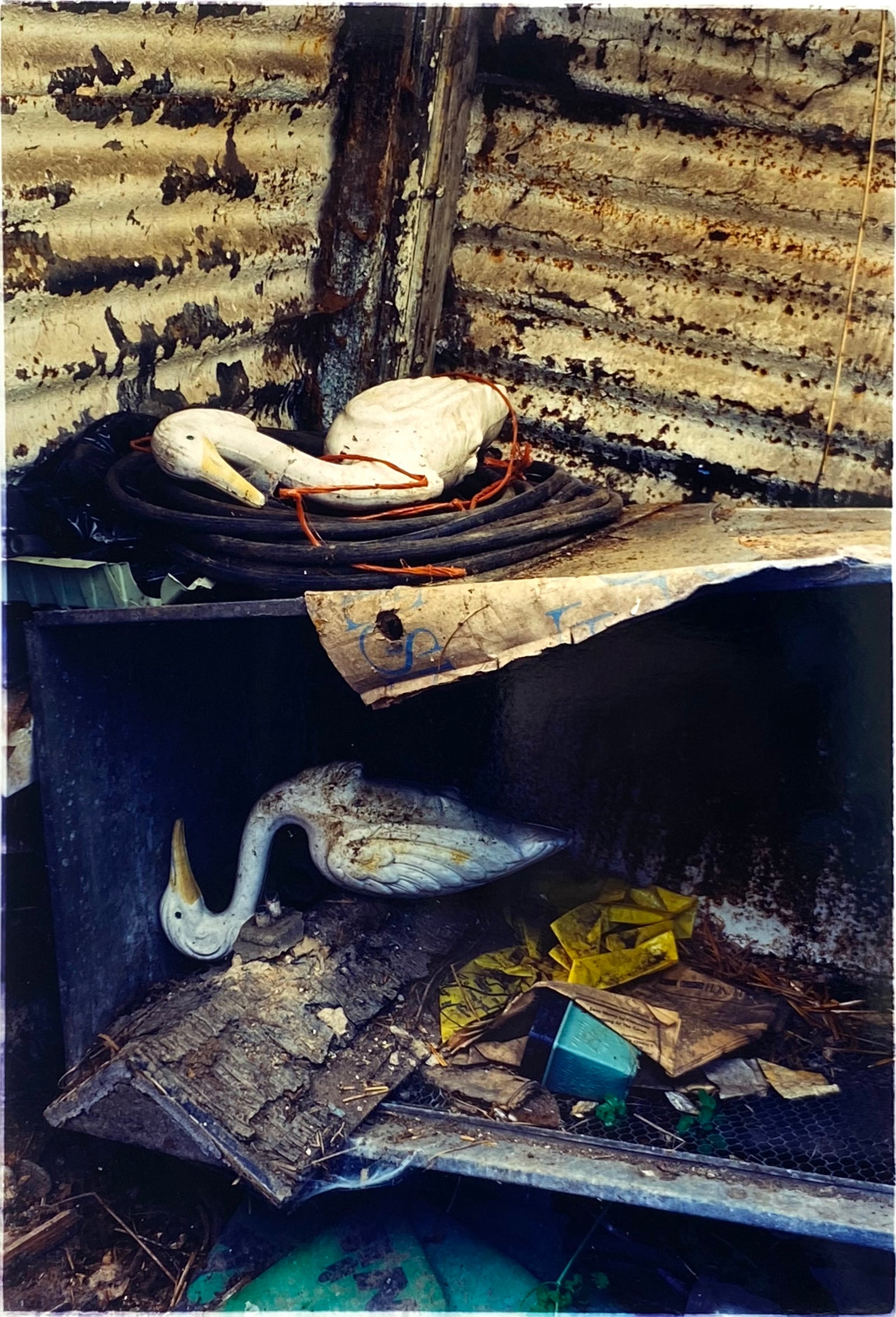 Storks Tydd St Giles, Cambridgeshire 1994