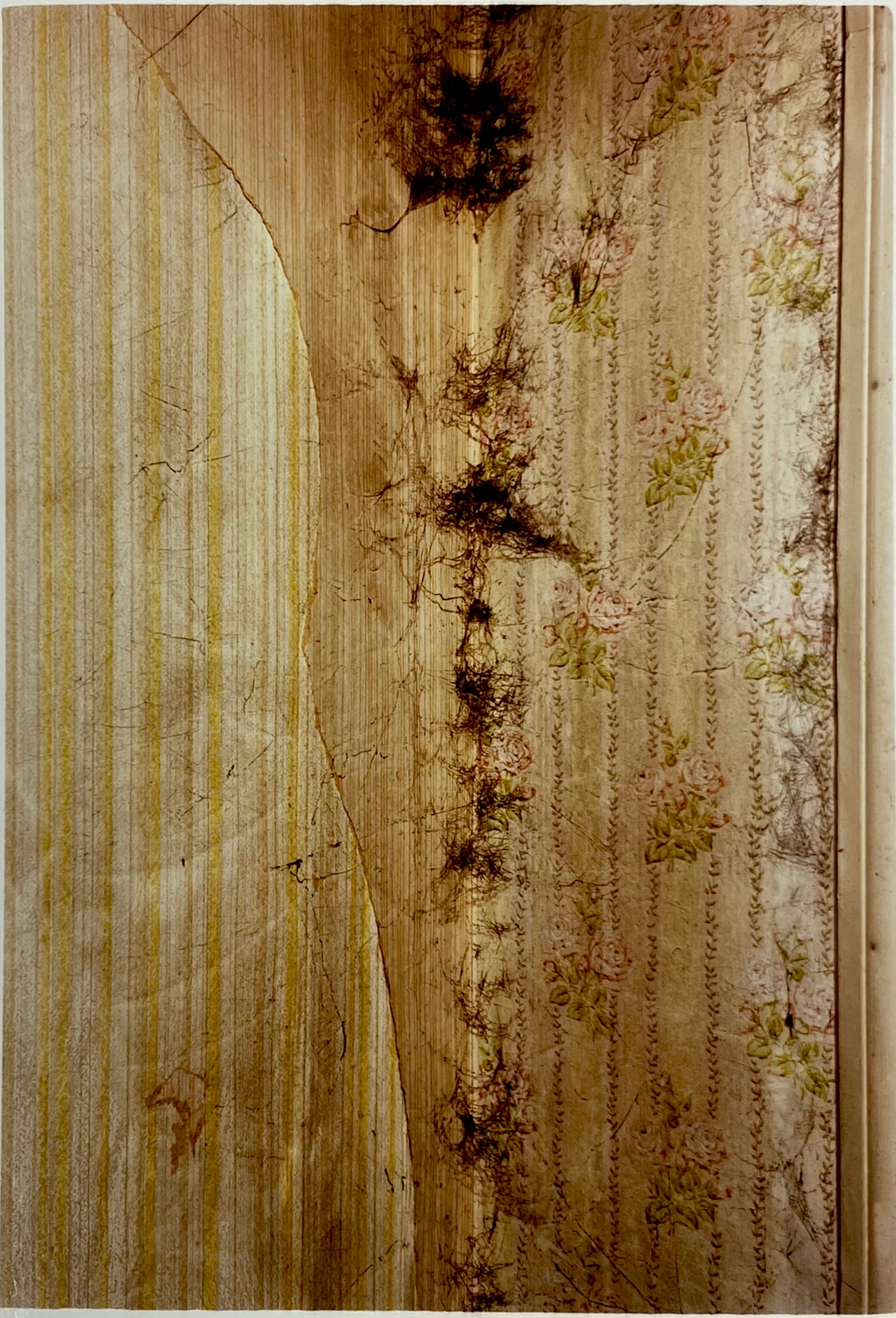 Cobweb Corner, Leverington Common, Wisbech, 1993