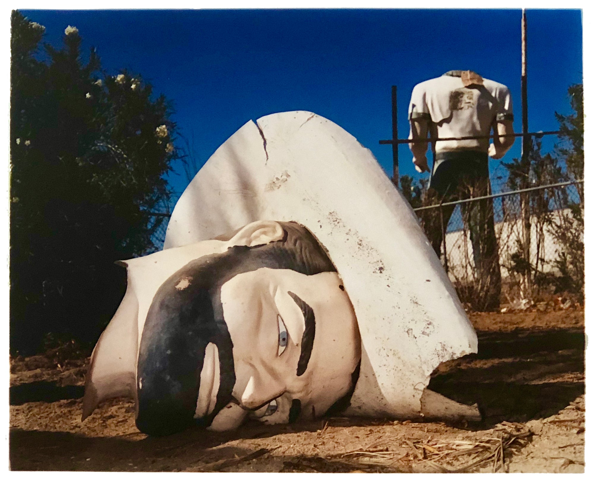 Poor Richard Head & Torso, Salton Sea, California, 2003