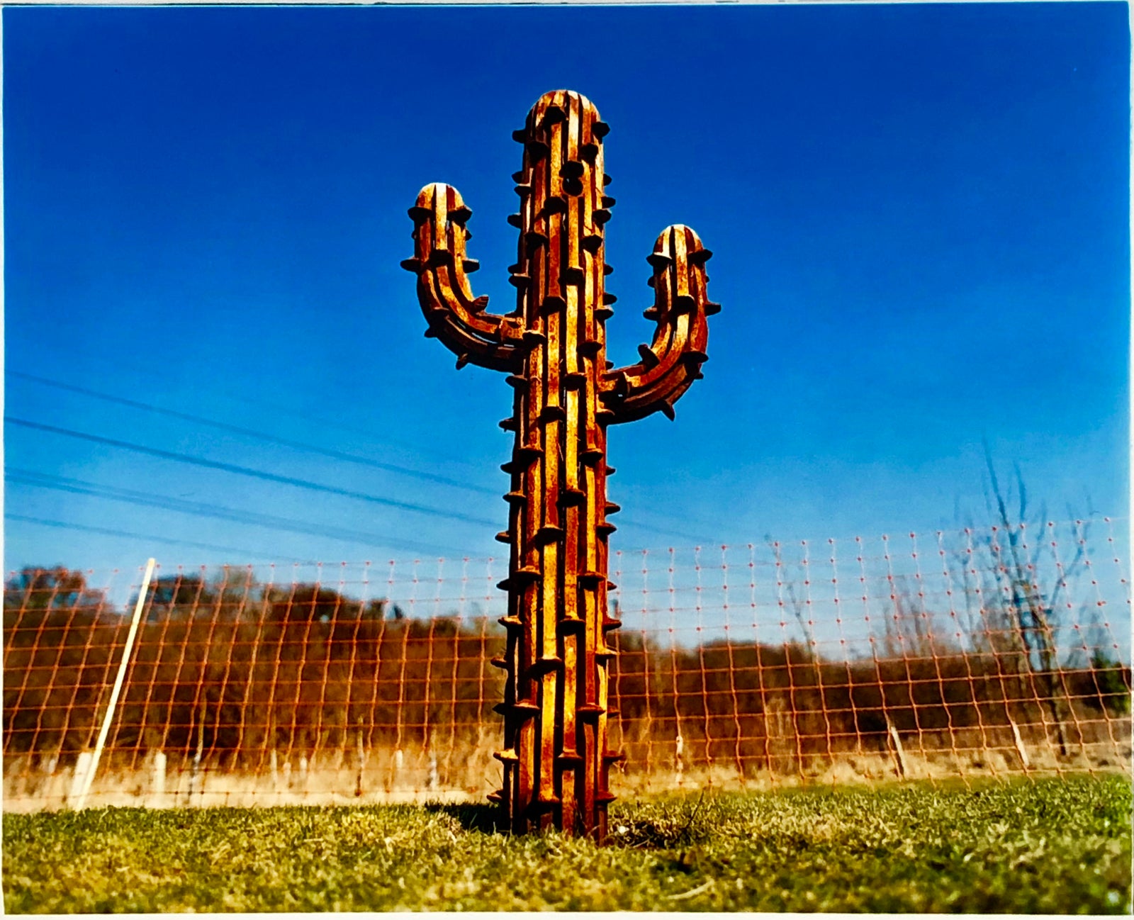 'Los Faguaros' - Barnards Farm, West Horndon 2004